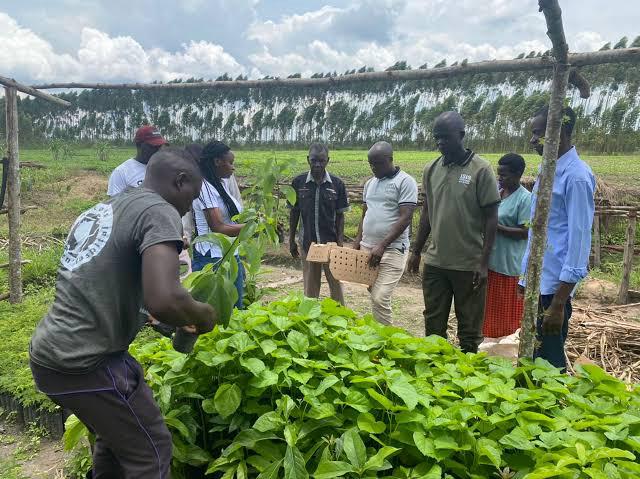 Climate Adaptation - Youth leadership
