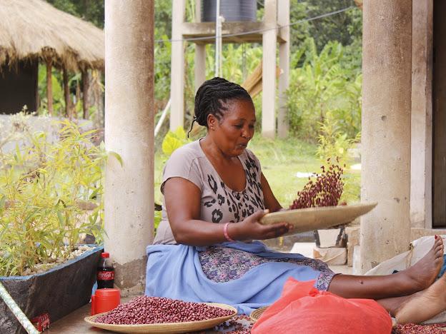 Sustainable Livelihoods - Vocational training