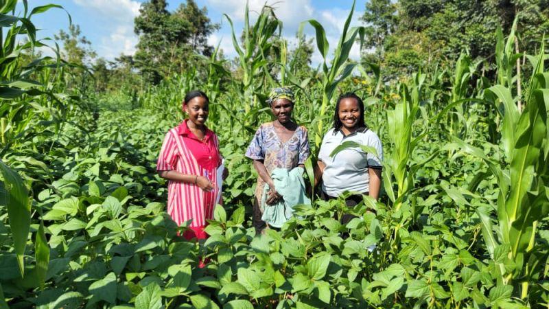 Sustainable Livelihoods - Family farming