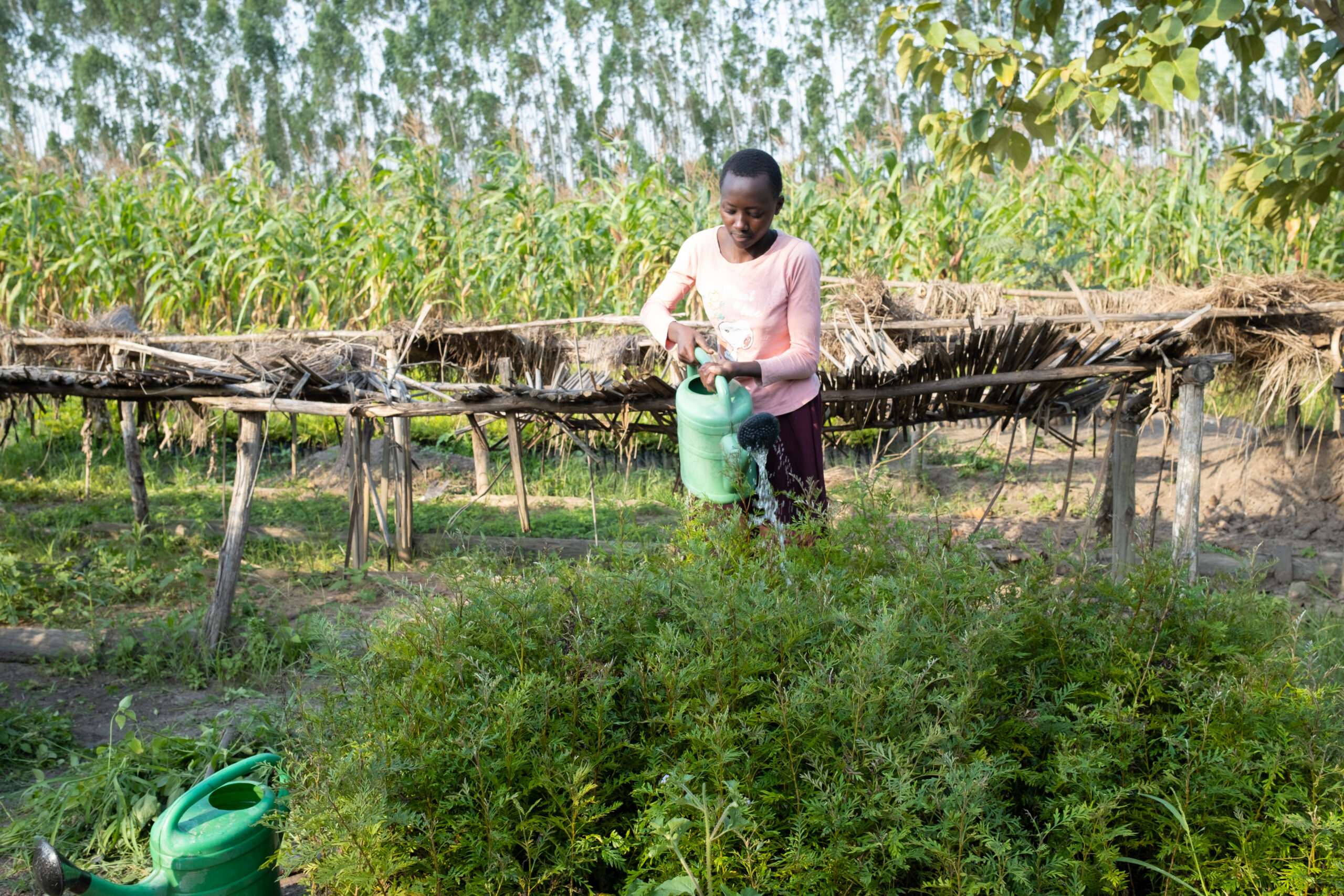 Climate Adaptation - Community engagement